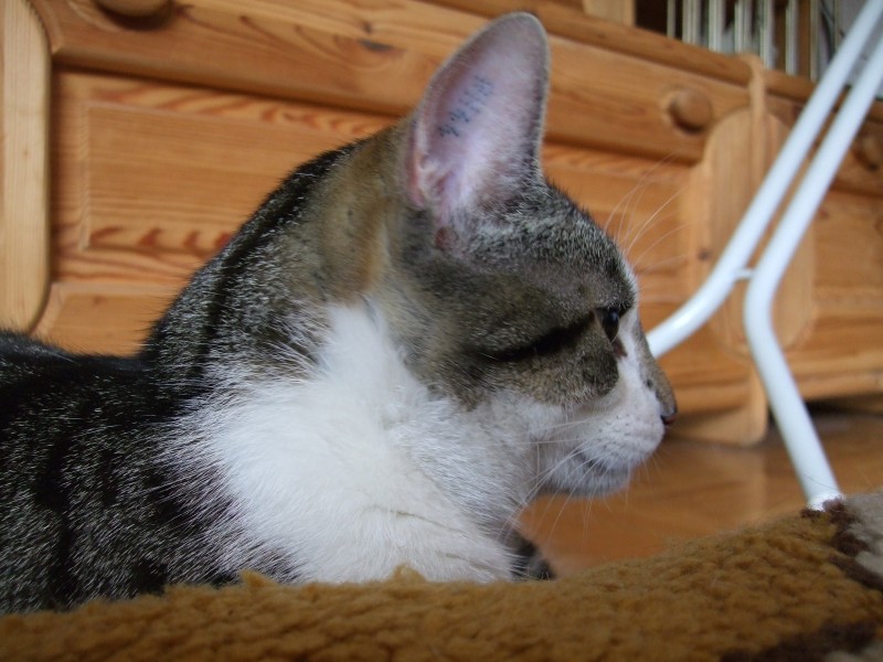 Ostern 2007 Orleshausen 153 